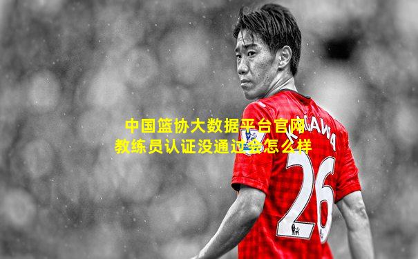 中国篮协大数据平台官网教练员认证没通过会怎么样