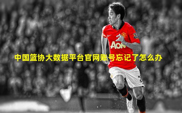 中国篮协大数据平台官网账号忘记了怎么办