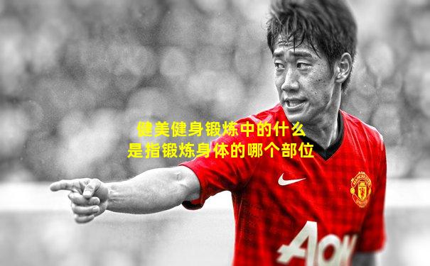 健美健身锻炼中的什么是指锻炼身体的哪个部位