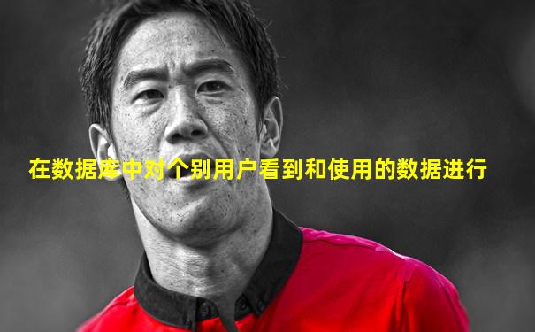 在数据库中对个别用户看到和使用的数据进行