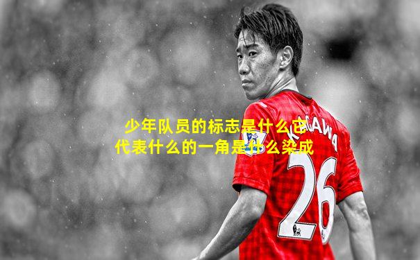 少年队员的标志是什么它代表什么的一角是什么染成