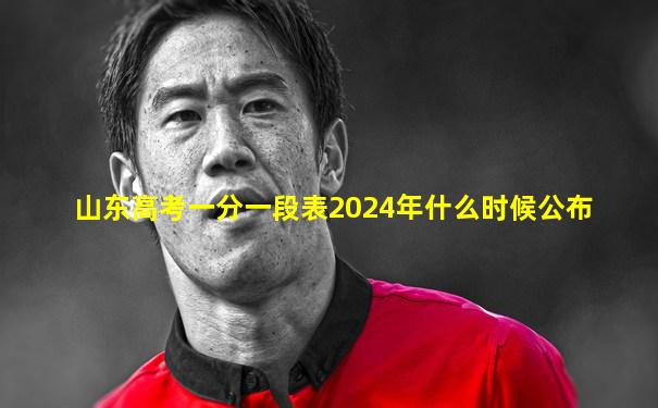 山东高考一分一段表2024年什么时候公布