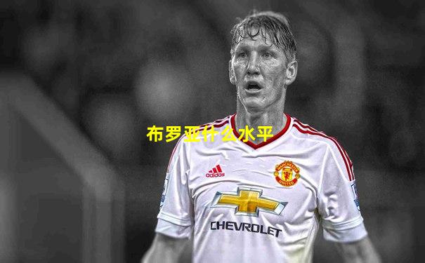 布罗亚什么水平