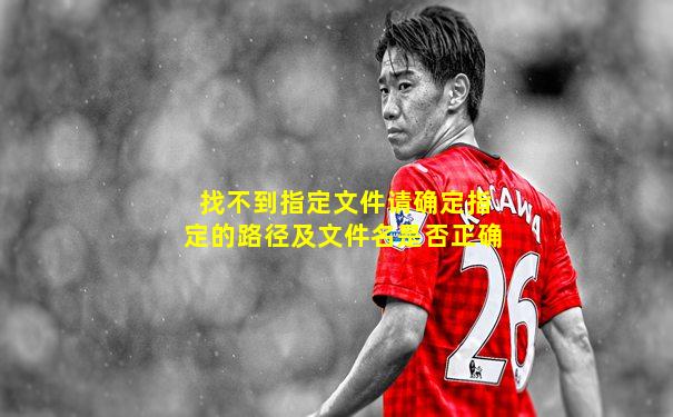 找不到指定文件请确定指定的路径及文件名是否正确