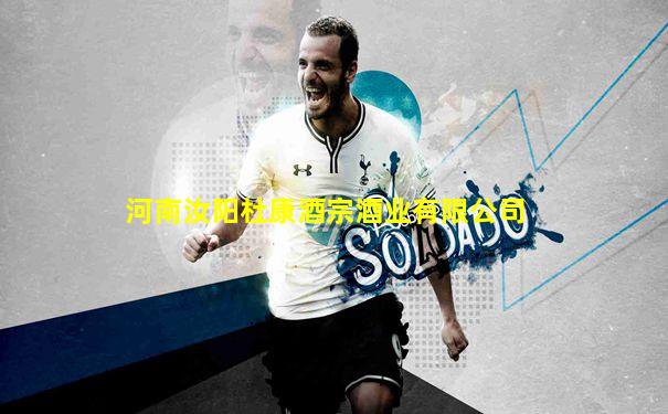 河南汝阳杜康酒宗酒业有限公司