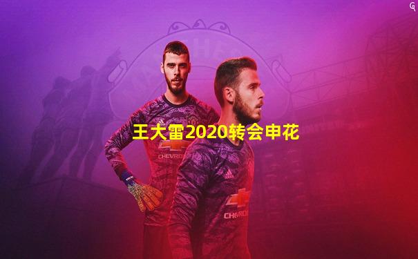 王大雷2020转会申花