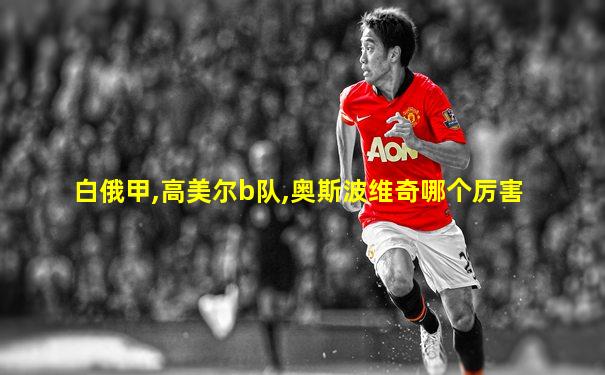 白俄甲,高美尔b队,奥斯波维奇哪个厉害