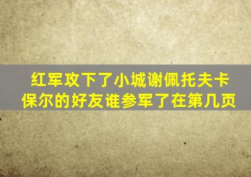 红军攻下了小城谢佩托夫卡保尔的好友谁参军了在第几页
