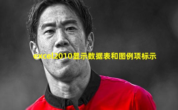 excel2010显示数据表和图例项标示