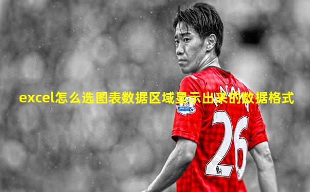 excel怎么选图表数据区域显示出来的数据格式