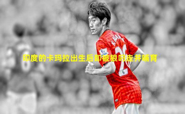 印度的卡玛拉出生后即被狼叼走并哺育