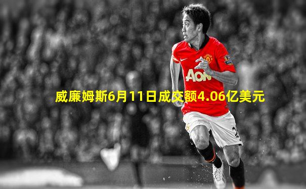 威廉姆斯6月11日成交额4.06亿美元