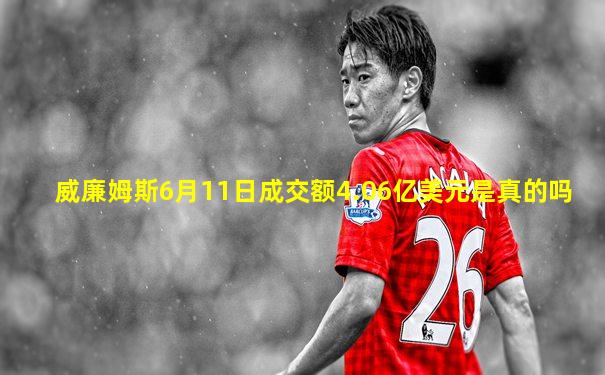 威廉姆斯6月11日成交额4.06亿美元是真的吗