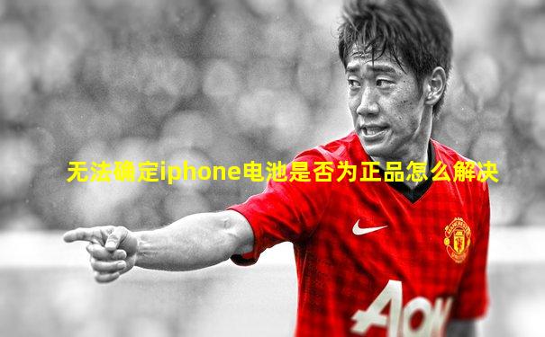 无法确定iphone电池是否为正品怎么解决