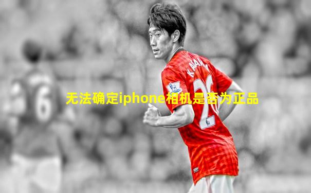 无法确定iphone相机是否为正品