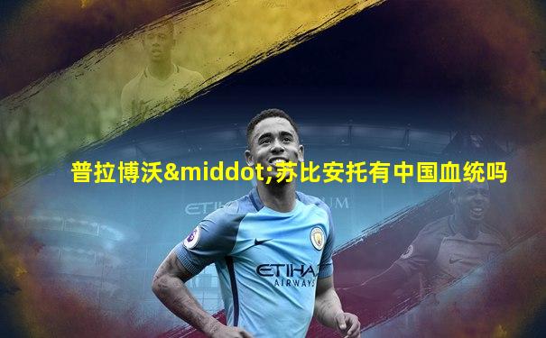 普拉博沃·苏比安托有中国血统吗