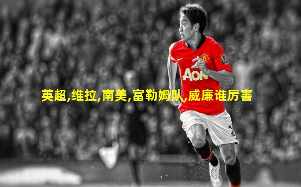 英超,维拉,南美,富勒姆队,威廉谁厉害
