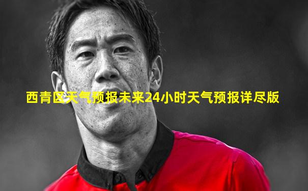 西青区天气预报未来24小时天气预报详尽版